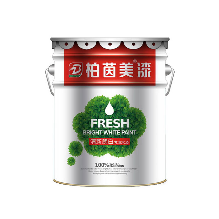 FRESH BRIGHT WHITE PAINT